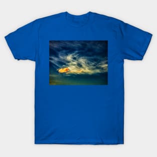 If Pigs Could Fly T-Shirt